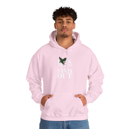 FCK Around and Find Out - Unisex Hoodie